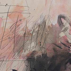Peach Afterglow (Nightfall) by Daniela Schweinsberg, Image 10.