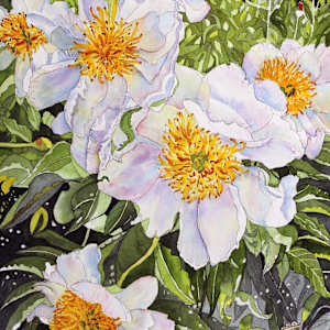 Peonies in White by Hana Aviv, Image 1.