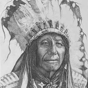 White Frog by Sammy Watson