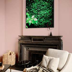 Climbing Fig and Hydrangea by Marni Rothman 