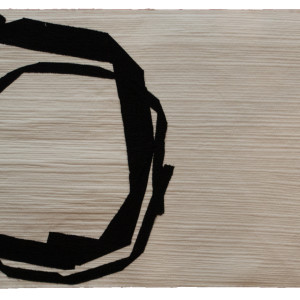 Duplicity by Carol Trice