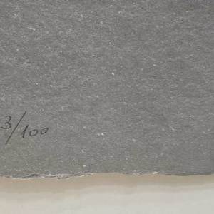 Reina Mariana I by Manolo Valdés, Image 10.