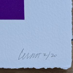Open Cube in Color on Color #2 by Sol LeWitt 