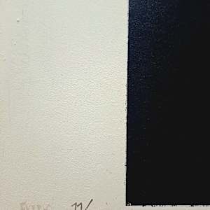 Tierra by Rafael Canogar, Image 8.