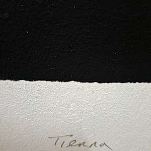 Tierra by Rafael Canogar, Image 11.