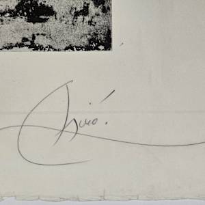 Les Armes du Sommeil by Joan Miró, Image 3.