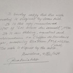 Les Armes du Sommeil by Joan Miró, Image 8.