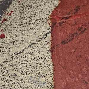 Cobert de Roig by Antoni Tàpies 