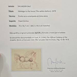 Homage to the Horse (The White Stallion) by Salvador Dalí, Image 7.