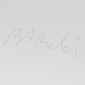 Barce by Miquel Barceló 