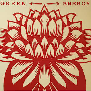 Green Power by Obey (Shepard Fairey), Image 5.