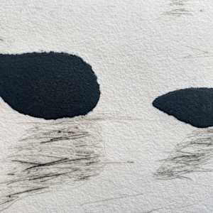 Sin Título by Miquel Barceló, Image 13.