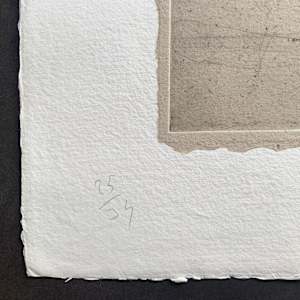 Gavinet by Miquel Barceló 