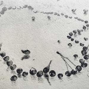 Cerezas by Miquel Barceló 