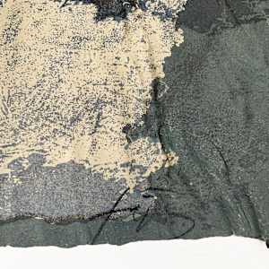 Informal (Ejemplar HC) by Antoni Tàpies, Image 11.