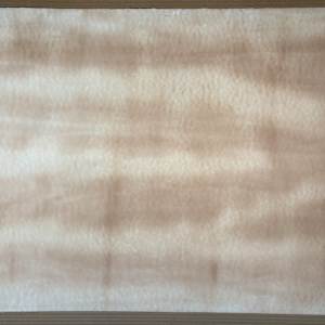 Five Coral Screen by Sam Francis, Image 2.