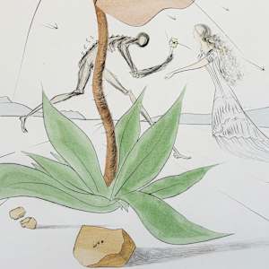 'Reuben' (Ruben) - 'Twelve Tribes of Israel' by Salvador Dalí, Image 12.