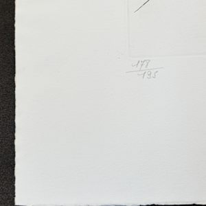 'Reuben' (Ruben) - 'Twelve Tribes of Israel' by Salvador Dalí, Image 10.