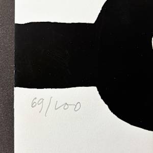 Jornadas de Medio Ambiente by Eduardo Chillida, Image 3.