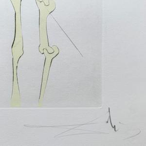 'Naphthali' (Naphtali) - 'Twelve Tribes of Israel' by Salvador Dalí 