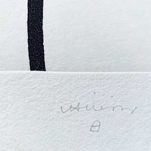 J.A.Valente: Cantigas de Alen IV by Eduardo Chillida 