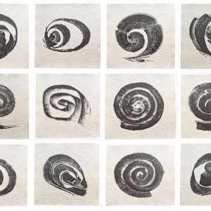 Espiral. Naturaleza, Simbología y Cosmos by Martín Chirino 