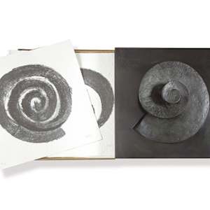 Espiral. Naturaleza, Simbología y Cosmos by Martín Chirino