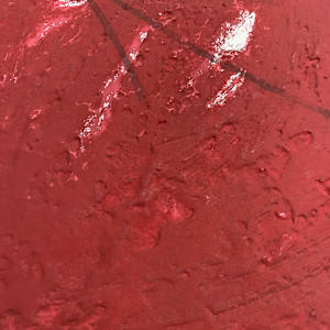 Carmí 8 by Antoni Tàpies 