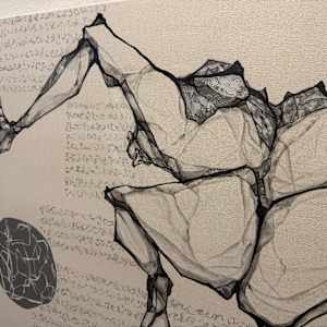 Plato's Chicken (Digital Print on Canvas) by Young Kim 