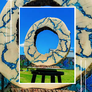 The Lichtenberg Circle by Juju Bartush 