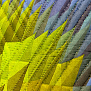 The Geometer's Hand 6 by Marilyn Henrion 