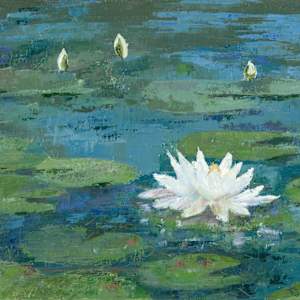 Serenity- Water Lily by Laurie Cochrane