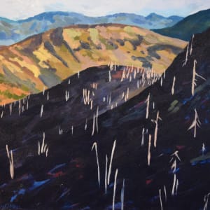 Black Hill - Biscuit Fire, Kalmiopsis Wilderness by Kristen O'Neill
