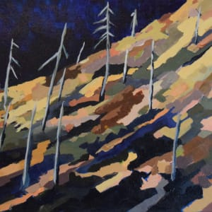 Chetco Bar Fire - Kalmiopsis Wilderness by Kristen O'Neill