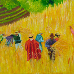 Cosechando Juntos/ Harvesting together. by daniela, Image 4.