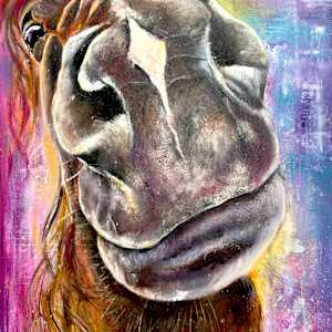 Jasper by Samantha Biddle  Image: Jasper