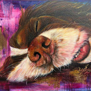 LET SLEEPING DOGS LIE by Samantha Biddle 