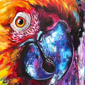 Buddy the Maccaw by Samantha Biddle
