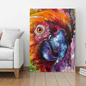Buddy the Maccaw by Samantha Biddle 