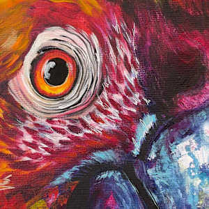 Buddy the Maccaw by Samantha Biddle 