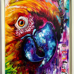 Buddy the Maccaw by Samantha Biddle 