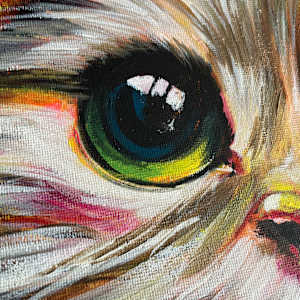 The Cats Whiskers by Samantha Biddle  Image: the cats whiskers eye close up