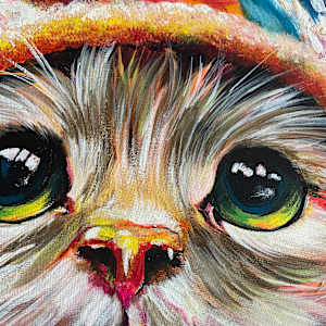 The Cats Whiskers by Samantha Biddle  Image: the cats whiskers close up eyes