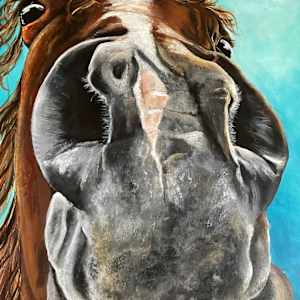 Rupert by Samantha Biddle 