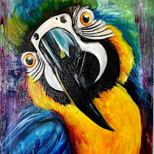 Kiwi by Samantha Biddle