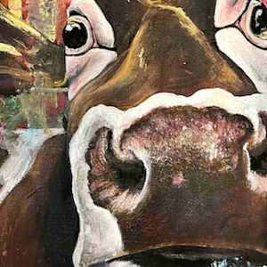 Curious Cow by Samantha Biddle 