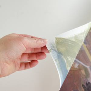 Bittersweet by Brianna Custer 