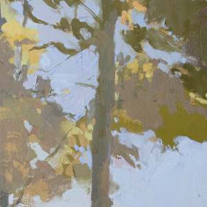 Capable by Brianna Custer 