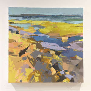 Discovery by Brianna Custer 