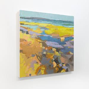 Discovery by Brianna Custer 